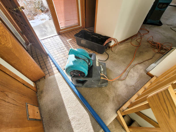 Best Carpet water damage restoration  in Dayton, WA