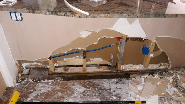 Best Ceiling water damage repair  in Dayton, WA