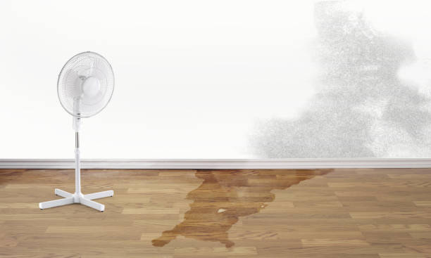 Best Water damage restoration near me  in Dayton, WA