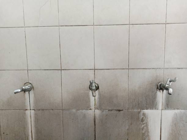 Best Flood restoration services  in Dayton, WA