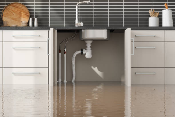 Best Fire Damage Restoration  in Dayton, WA