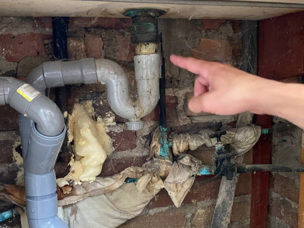 Best Carpet water damage restoration  in Dayton, WA