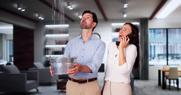 Best Water damage restoration services  in Dayton, WA