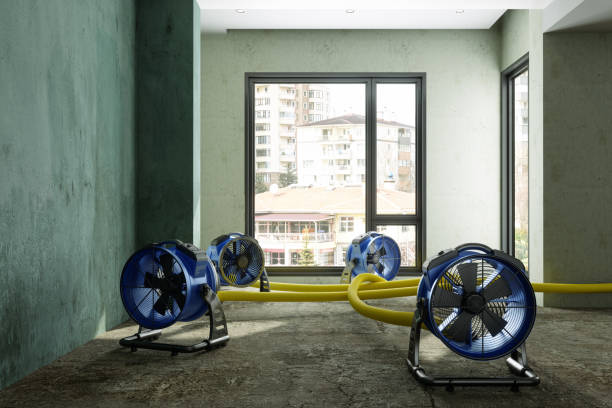 Best Mold removal after water damage  in Dayton, WA