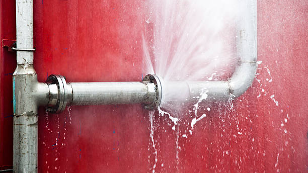 Best Fire Damage Restoration  in Dayton, WA